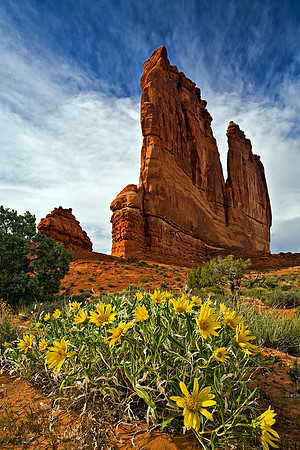 Springtime In Arches