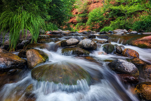 Raucous Oak Creek