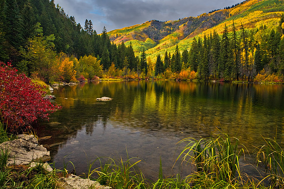 Lizard Lake