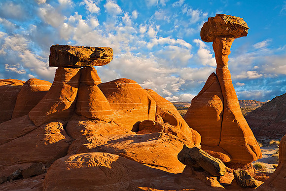 Toadstool Hoodoo