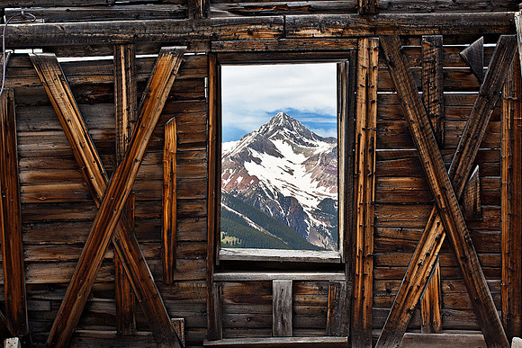 Window To Wilson