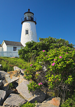 Pemaquid Light