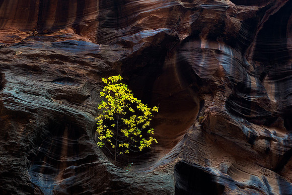 A Rocky Existence