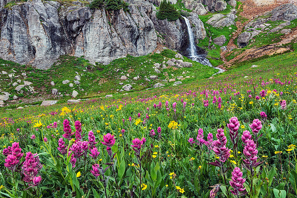 Waterfalls and Wildflowers