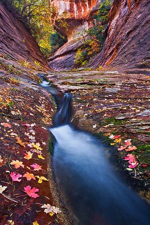 West Fork Narrows