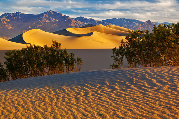 The Sands Of Time
